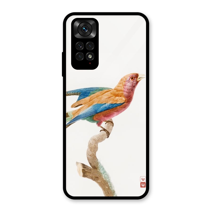 Beautiful Bird Glass Back Case for Redmi Note 11S