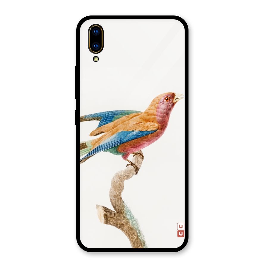 Beautiful Bird Glass Back Case for Vivo V11 Pro