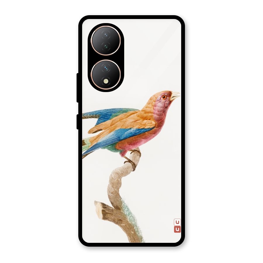 Beautiful Bird Glass Back Case for Vivo Y100A