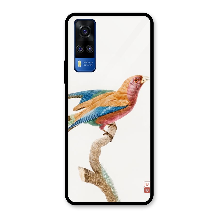 Beautiful Bird Glass Back Case for Vivo Y31
