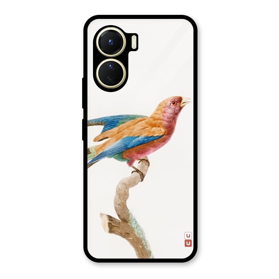 Beautiful Bird Glass Back Case for Vivo Y56