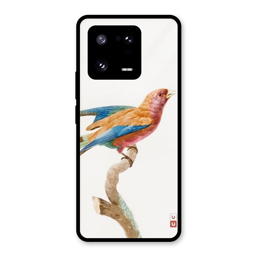 Beautiful Bird Glass Back Case for Xiaomi 13 Pro