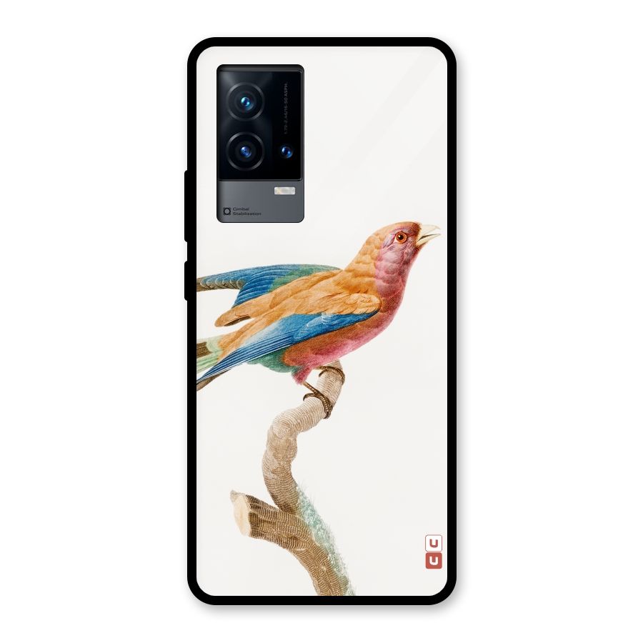 Beautiful Bird Glass Back Case for iQOO 9 5G