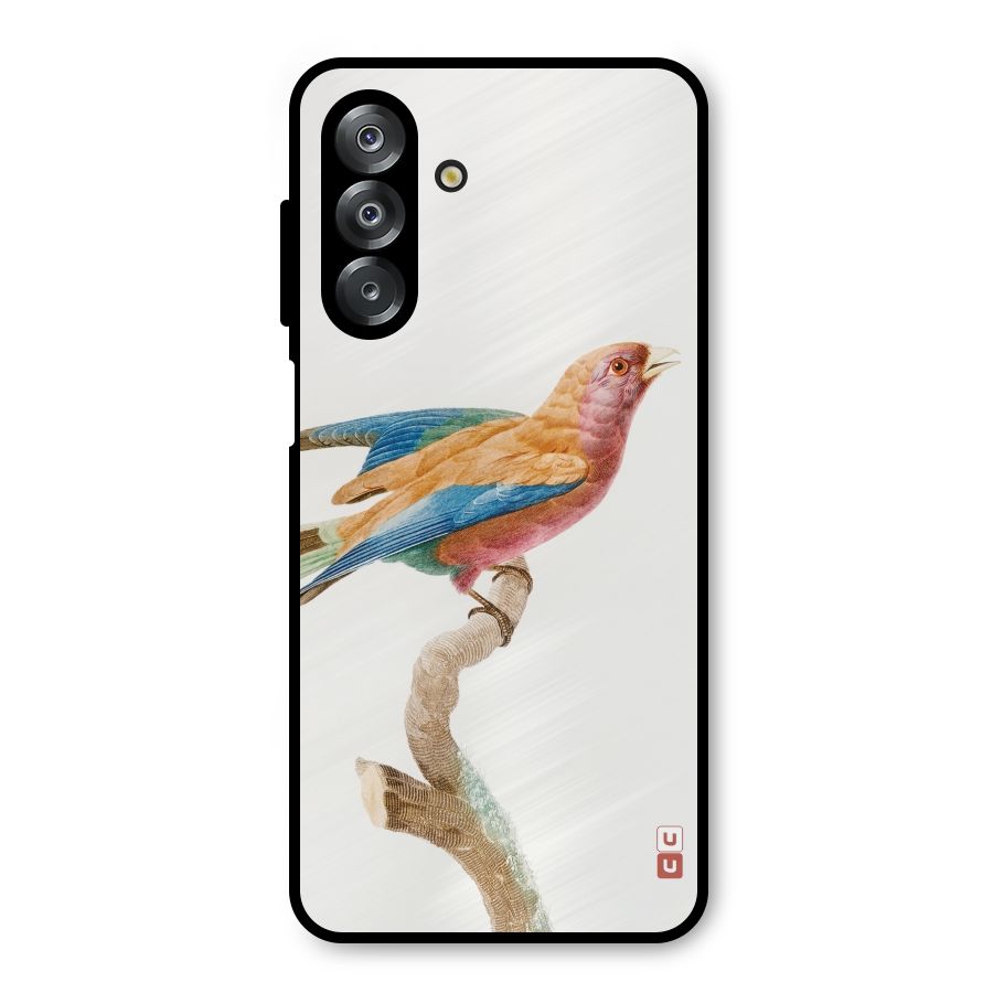 Beautiful Bird Metal Back Case for Galaxy A26