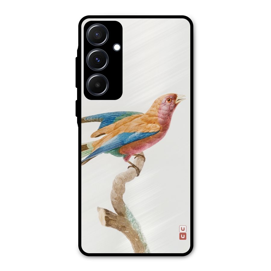 Beautiful Bird Metal Back Case for Galaxy A55