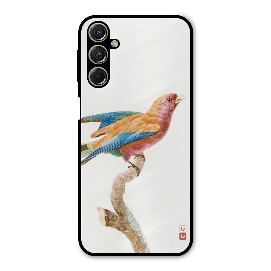 Beautiful Bird Metal Back Case for Galaxy F34