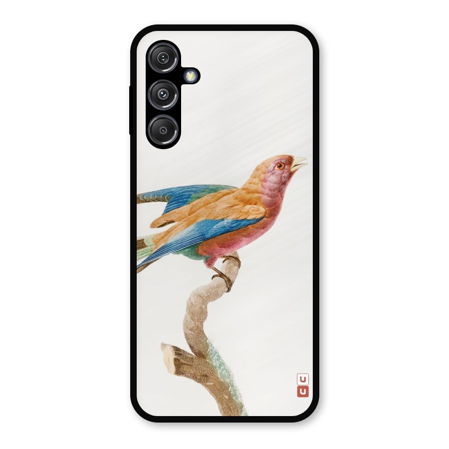 Beautiful Bird Metal Back Case for Galaxy M34 5G