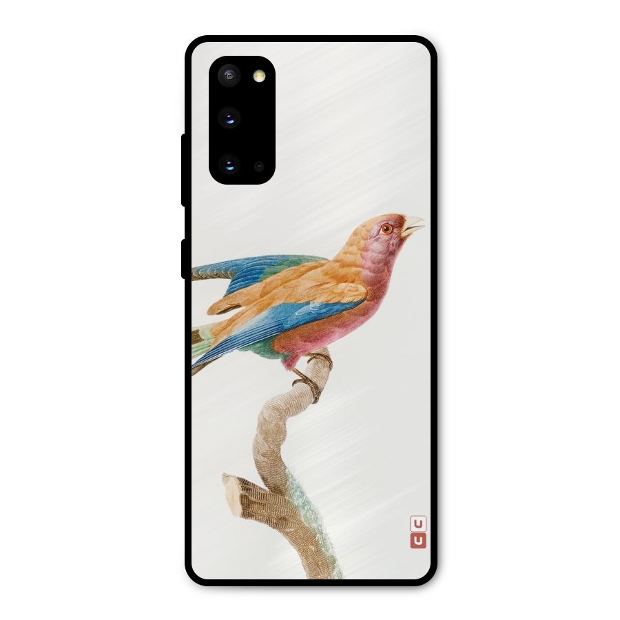 Beautiful Bird Metal Back Case for Galaxy S20