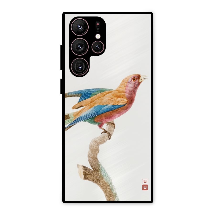 Beautiful Bird Metal Back Case for Galaxy S22 Ultra 5G