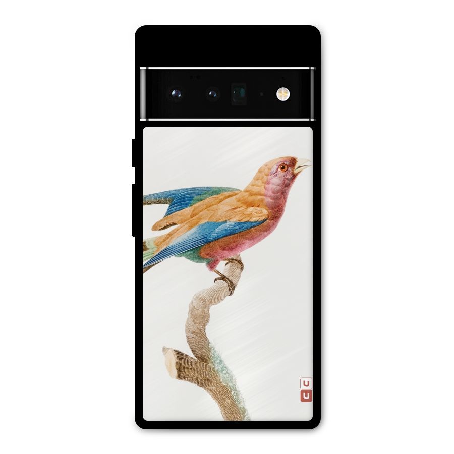 Beautiful Bird Metal Back Case for Google Pixel 6 Pro