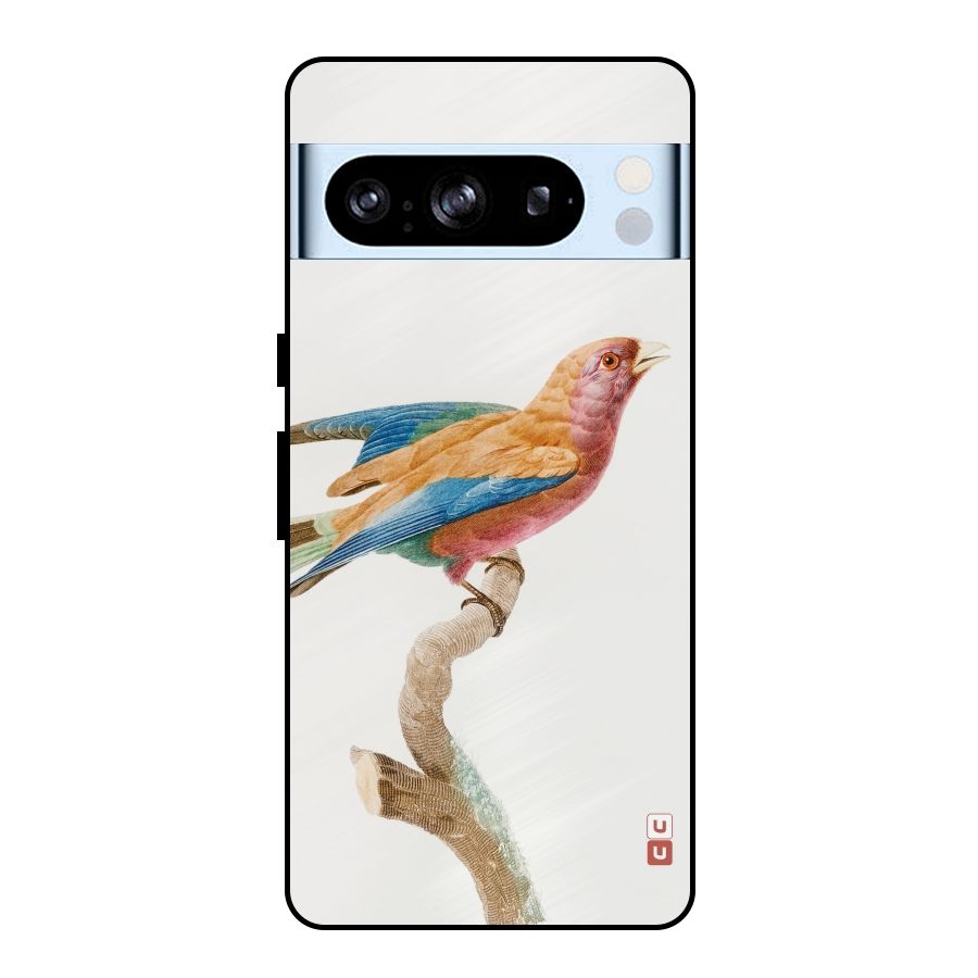 Beautiful Bird Metal Back Case for Google Pixel 8 Pro