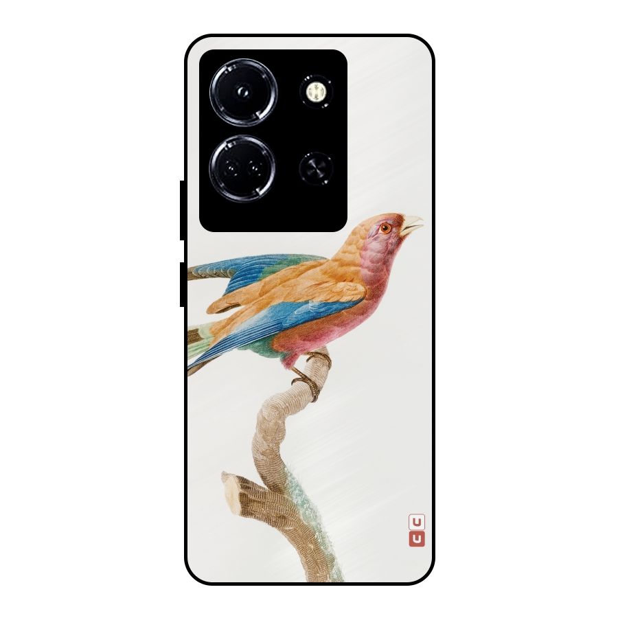 Beautiful Bird Metal Back Case for Infinix Note 30 5G