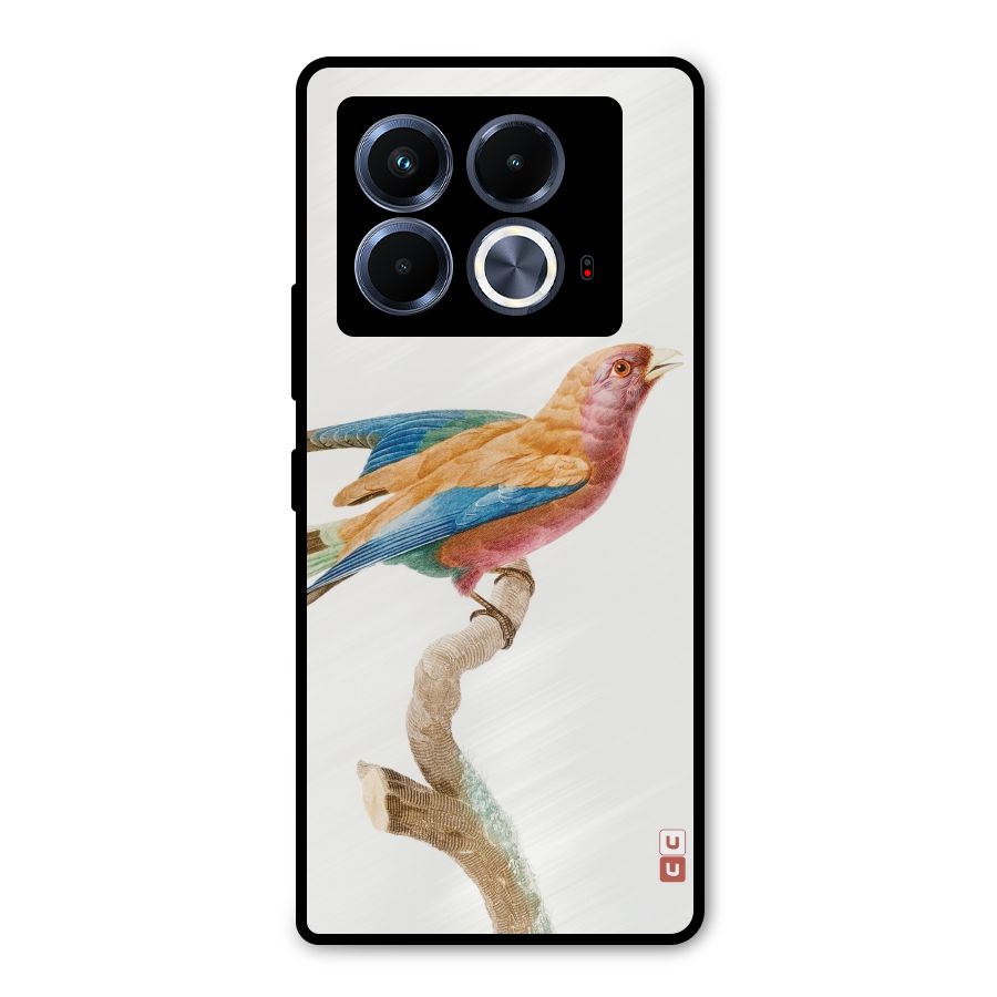 Beautiful Bird Metal Back Case for Infinix Note 40 5G