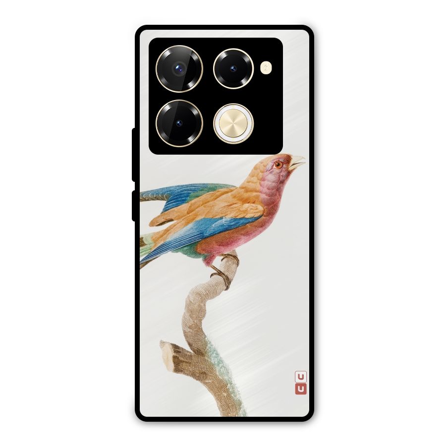 Beautiful Bird Metal Back Case for Infinix Note 40 Pro Plus