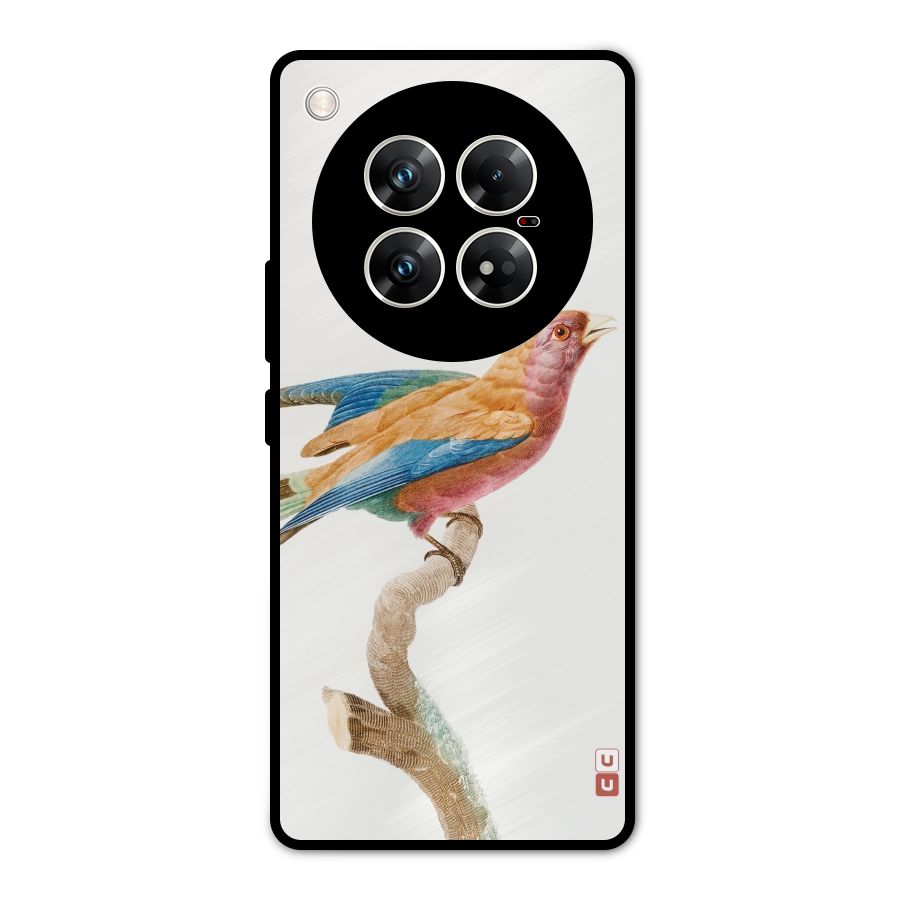 Beautiful Bird Metal Back Case for Infinix Zero 40 5G