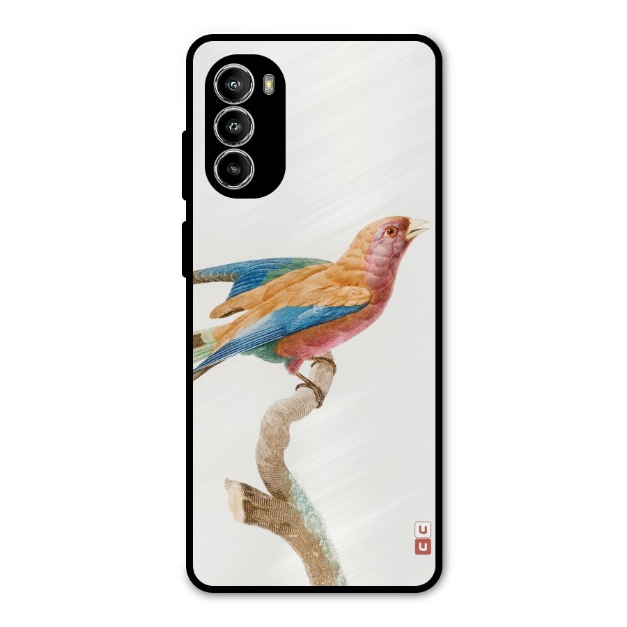 Beautiful Bird Metal Back Case for Moto G52