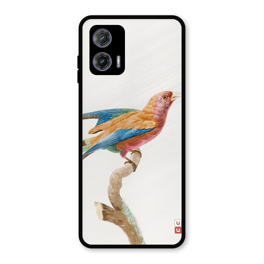 Beautiful Bird Metal Back Case for Moto G73