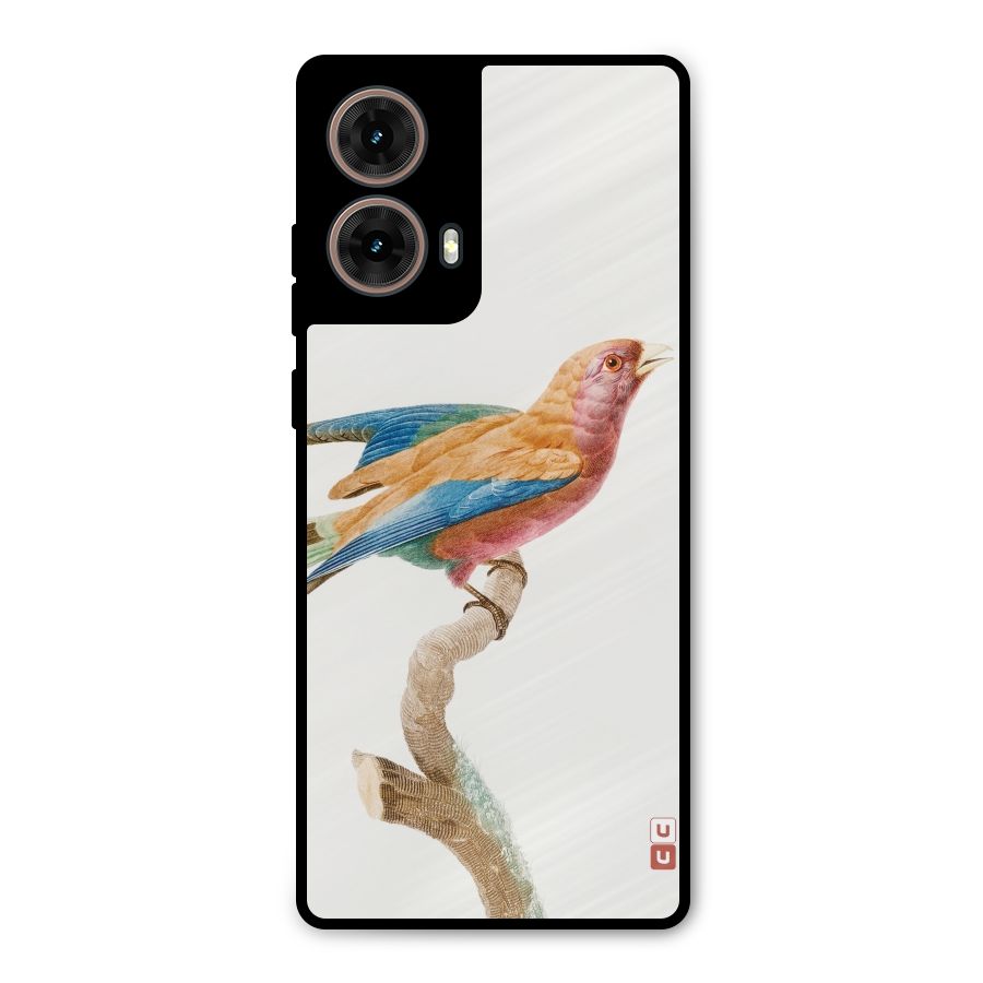 Beautiful Bird Metal Back Case for Moto G85