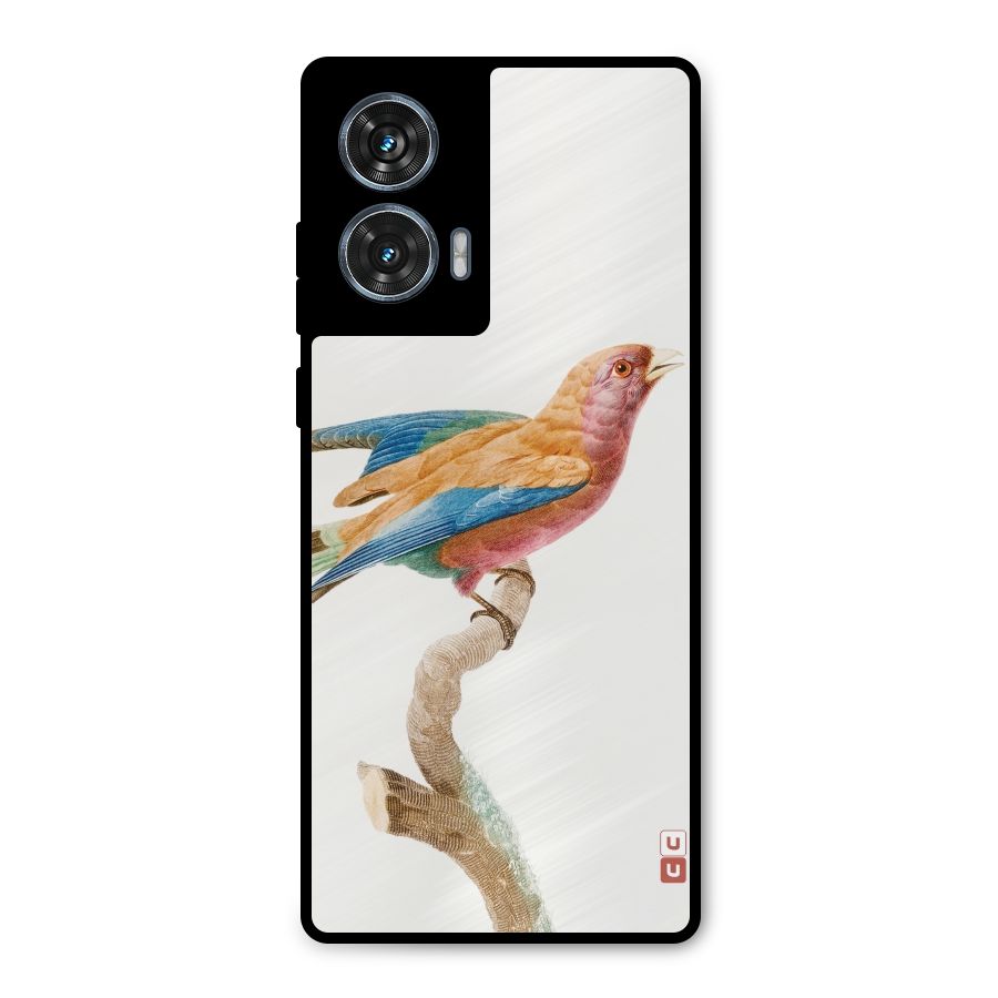 Beautiful Bird Metal Back Case for Motorola Edge 50 Fusion