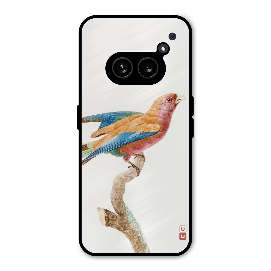 Beautiful Bird Metal Back Case for Nothing Phone 2a Plus