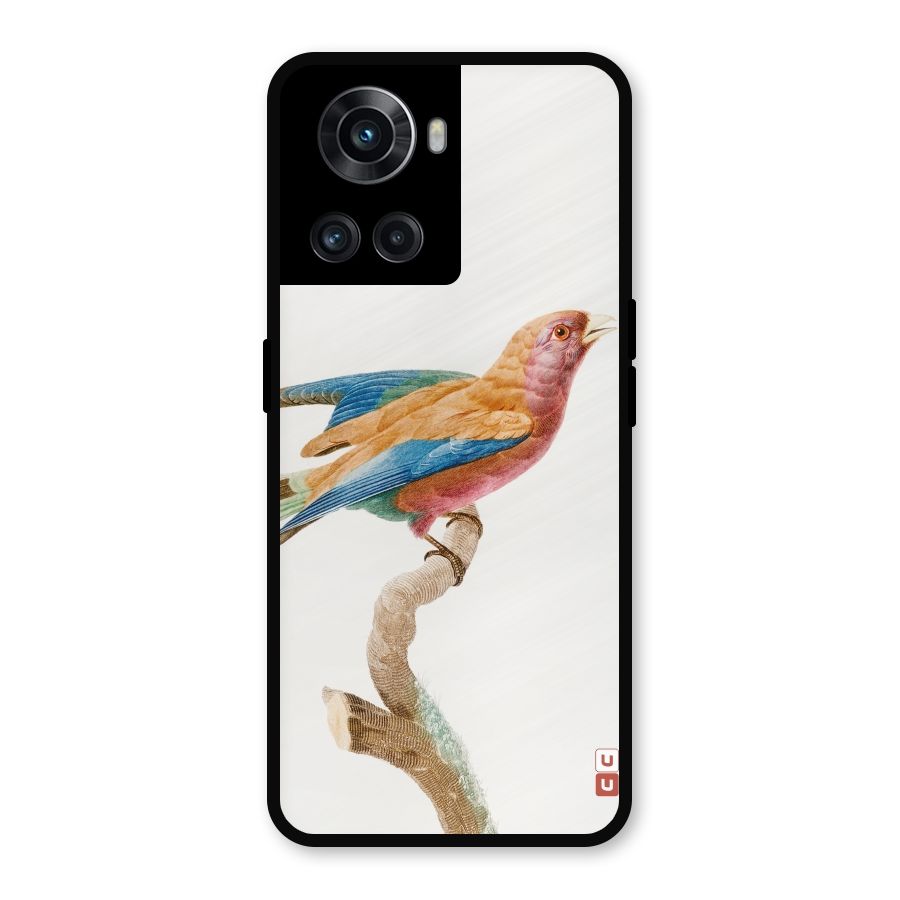 Beautiful Bird Metal Back Case for OnePlus 10R