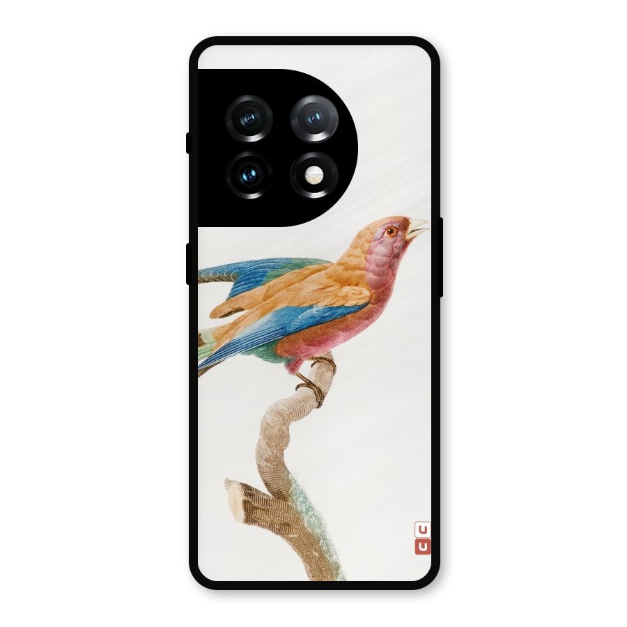 Beautiful Bird Metal Back Case for OnePlus 11