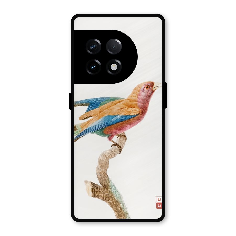 Beautiful Bird Metal Back Case for OnePlus 11R