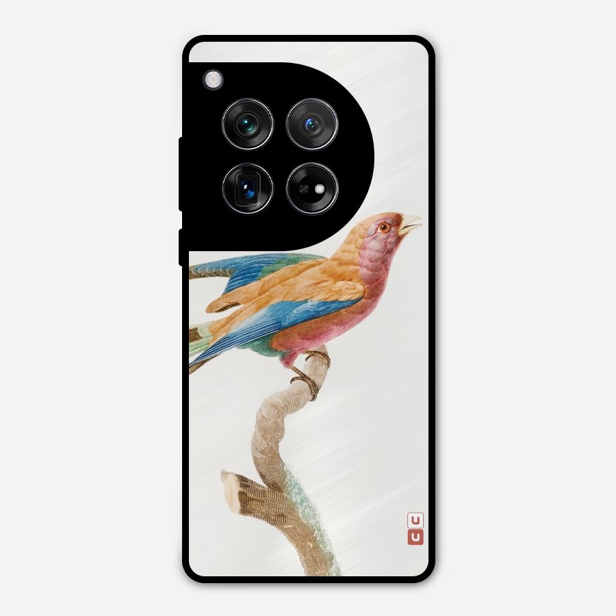 Beautiful Bird Metal Back Case for OnePlus 12
