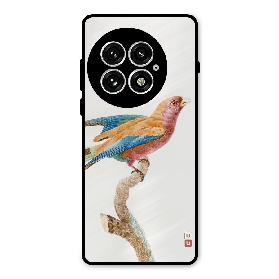 Beautiful Bird Metal Back Case for OnePlus 13