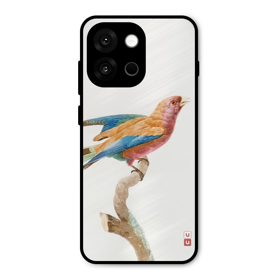 Beautiful Bird Metal Back Case for OnePlus 13s