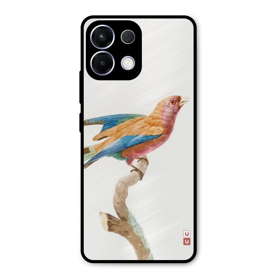 Beautiful Bird Metal Back Case for Oppo K13