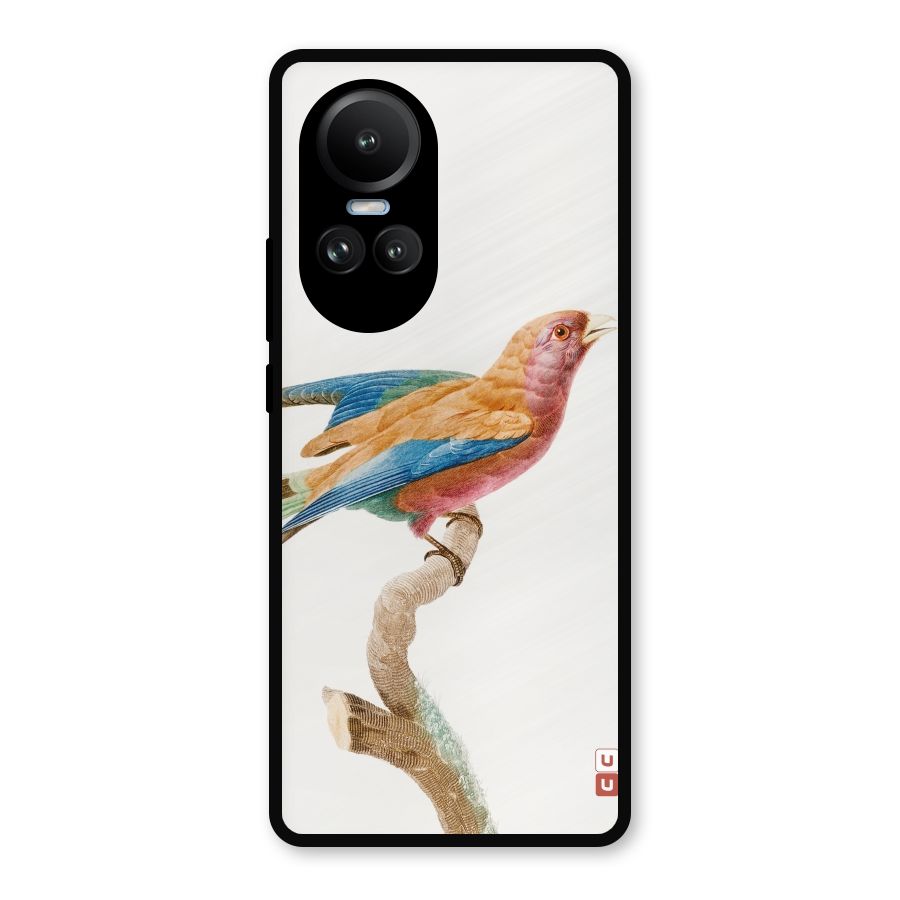 Beautiful Bird Metal Back Case for Oppo Reno10 Pro