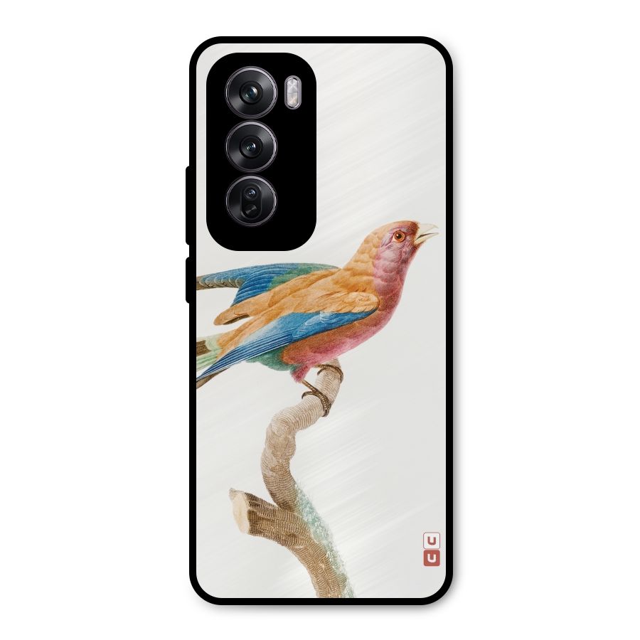 Beautiful Bird Metal Back Case for Oppo Reno12 Pro