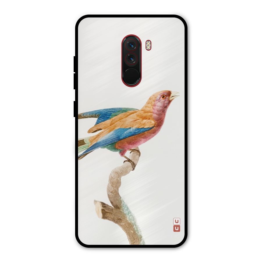 Beautiful Bird Metal Back Case for Poco F1