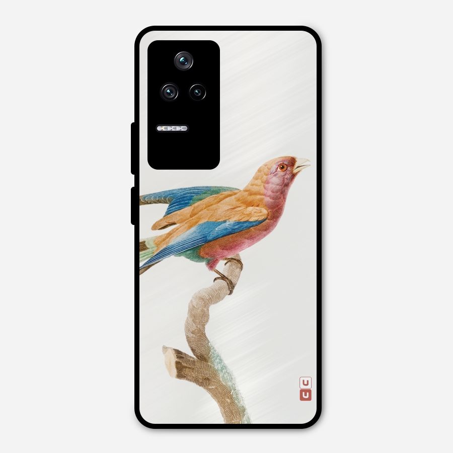 Beautiful Bird Metal Back Case for Poco F4 5G