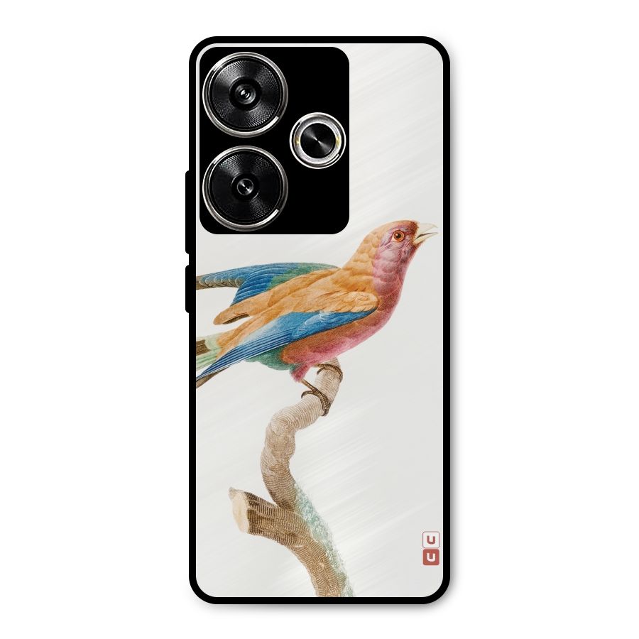 Beautiful Bird Metal Back Case for Poco F6
