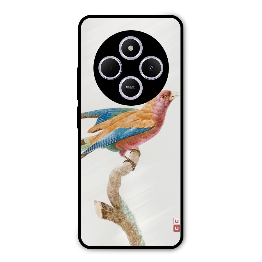 Beautiful Bird Metal Back Case for Poco M7