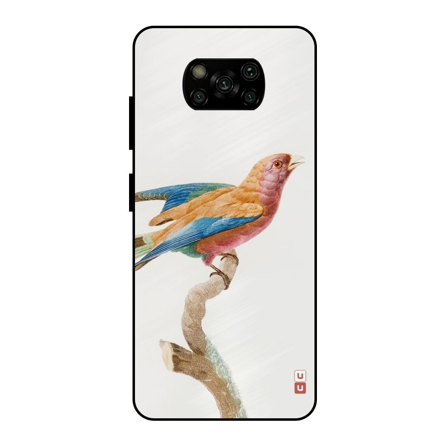 Beautiful Bird Metal Back Case for Poco X3