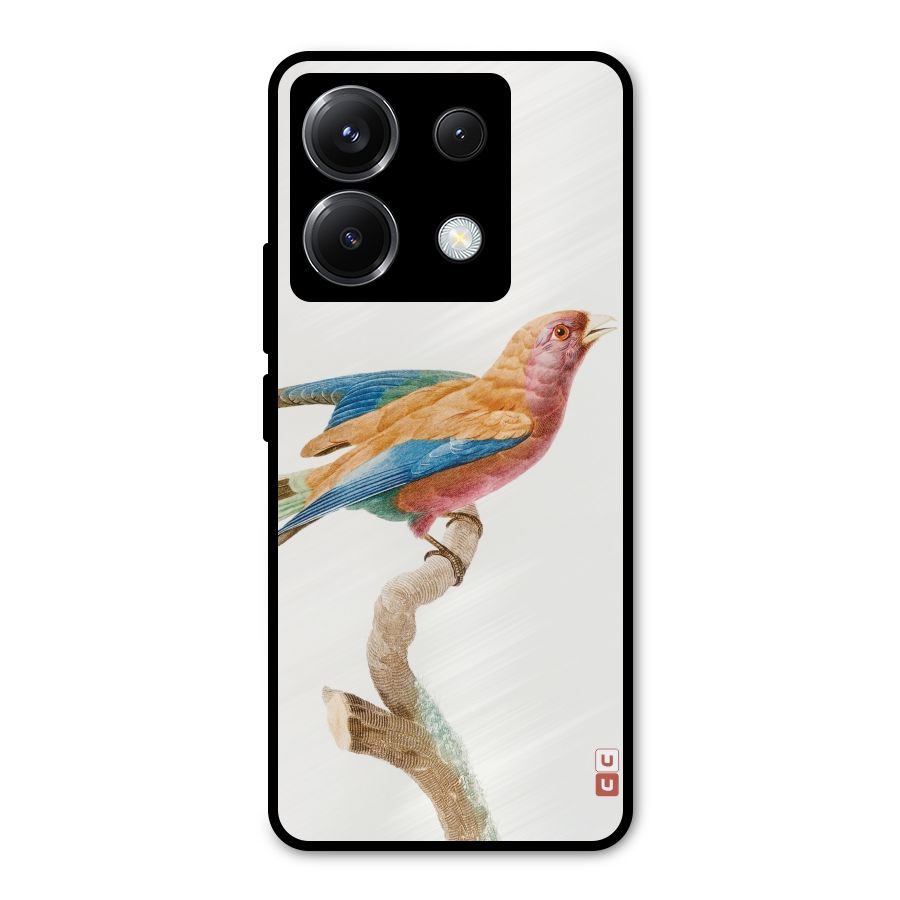 Beautiful Bird Metal Back Case for Poco X6