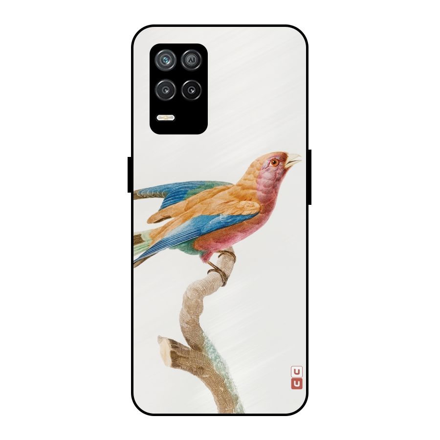Beautiful Bird Metal Back Case for Realme 9 5G