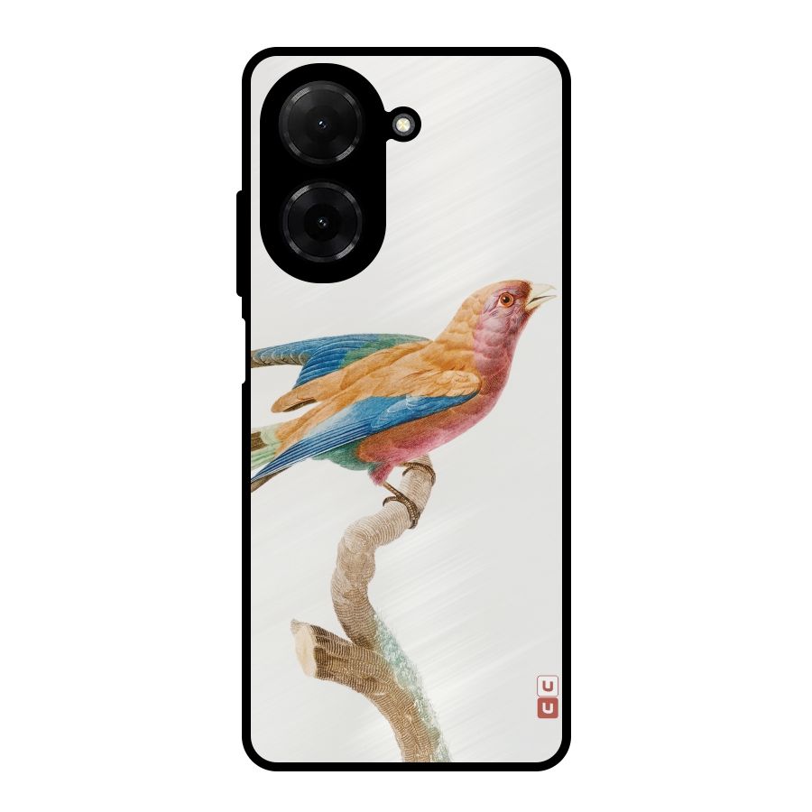 Beautiful Bird Metal Back Case for Redmi A5 4G