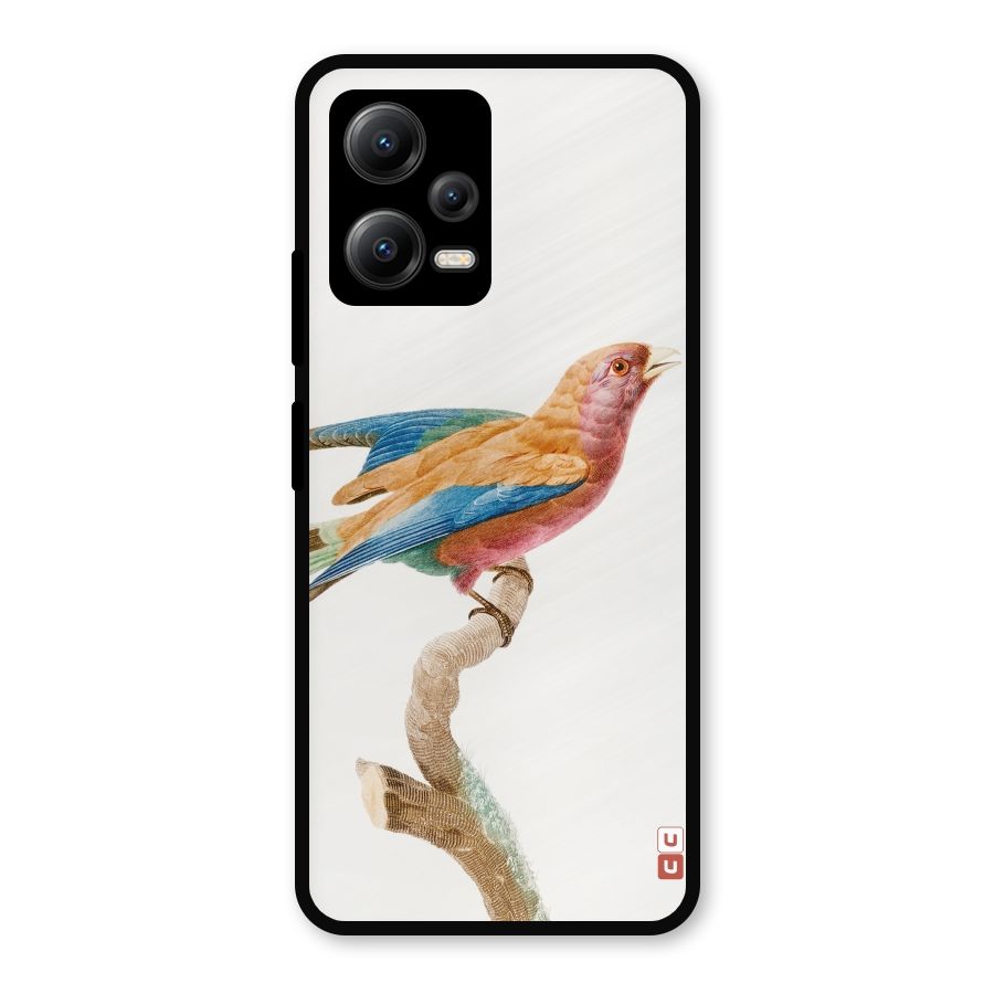 Beautiful Bird Metal Back Case for Redmi Note 12 5G