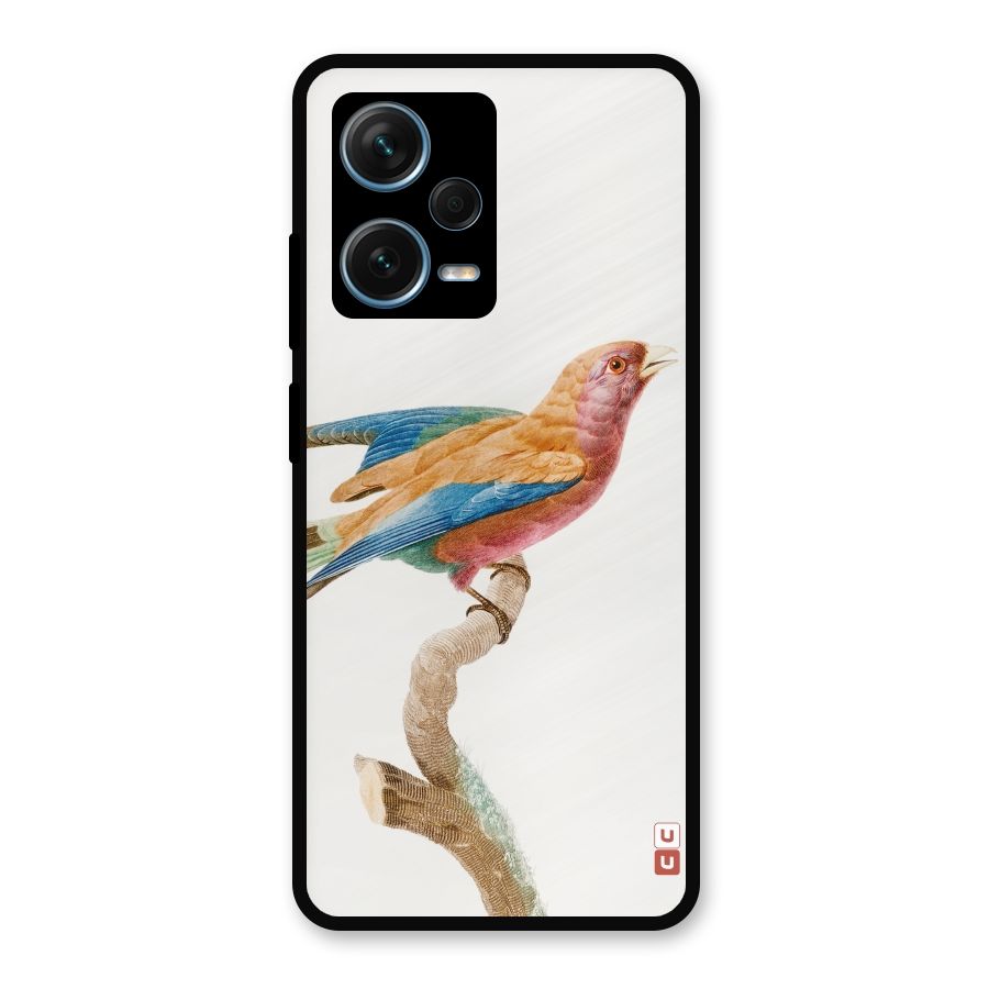 Beautiful Bird Metal Back Case for Redmi Note 12 Pro Plus 5G