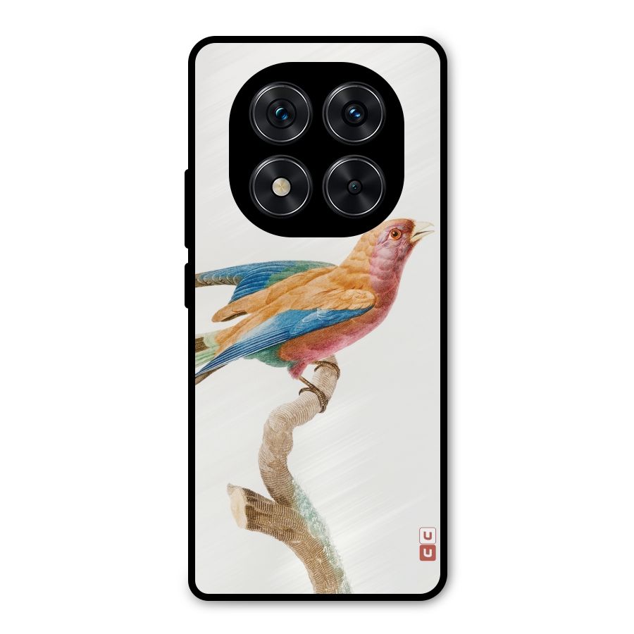 Beautiful Bird Metal Back Case for Redmi Note 14 Pro 5G