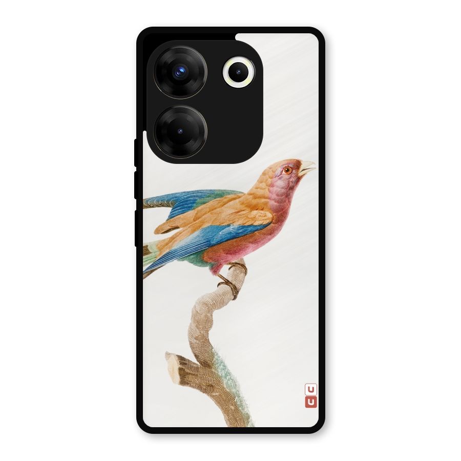 Beautiful Bird Metal Back Case for Tecno Camon 20