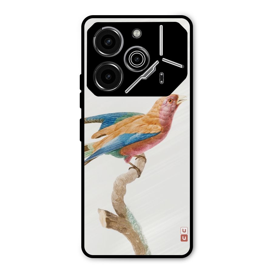 Beautiful Bird Metal Back Case for Tecno Pova 6 Pro