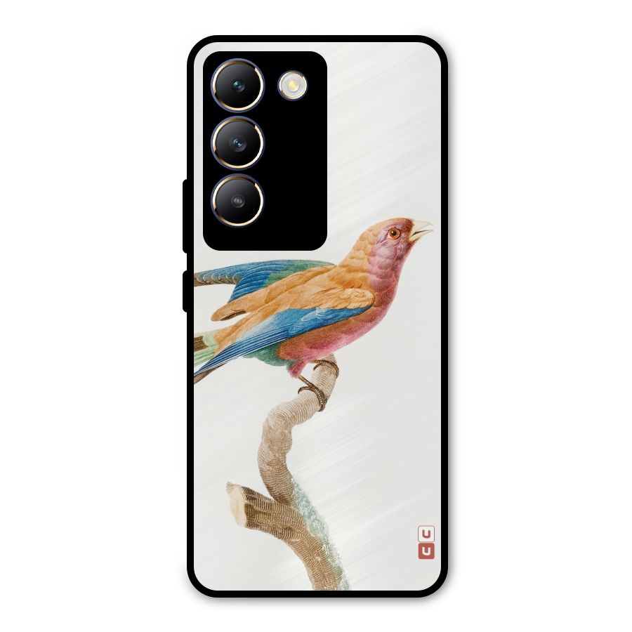 Beautiful Bird Metal Back Case for Vivo T3 5G