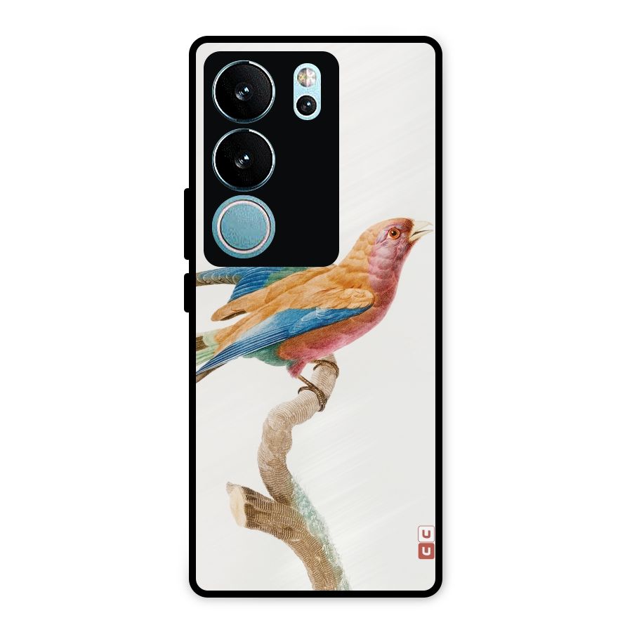 Beautiful Bird Metal Back Case for Vivo V29 Pro