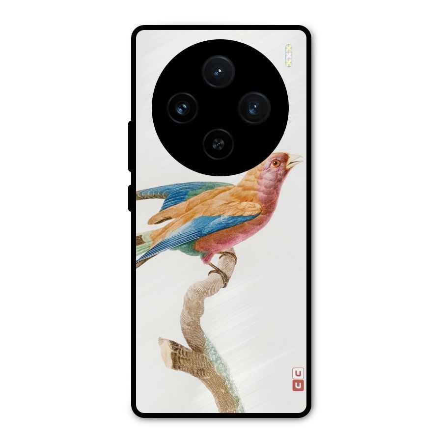 Beautiful Bird Metal Back Case for Vivo X100