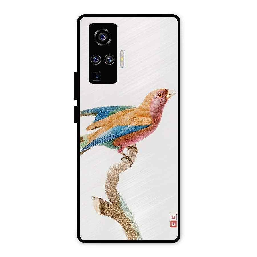 Beautiful Bird Metal Back Case for Vivo X50 Pro